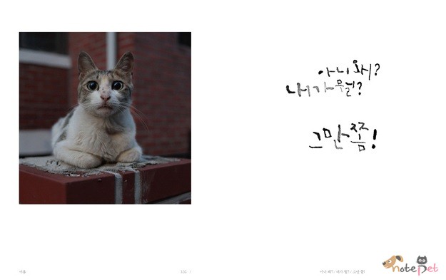 노트펫