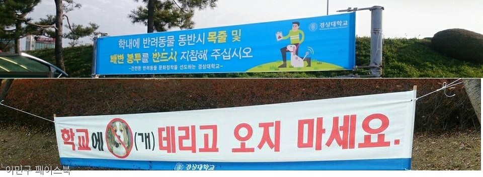 노트펫