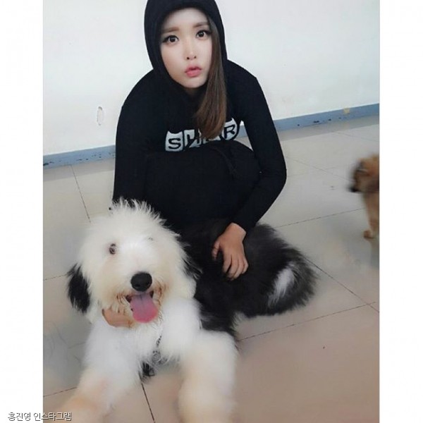 노트펫