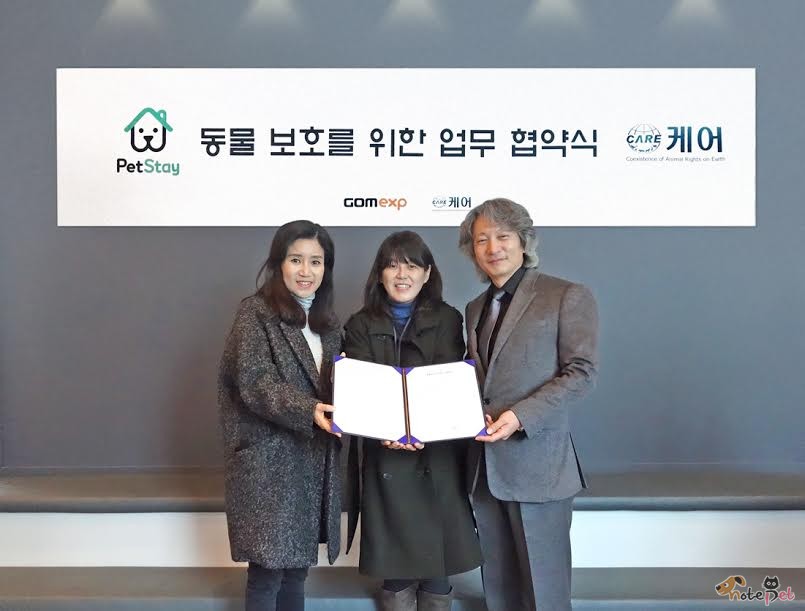 노트펫