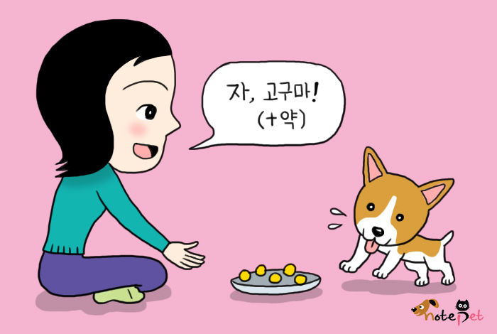 노트펫