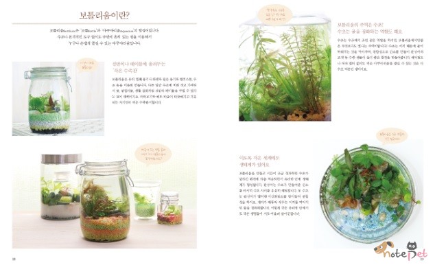 노트펫