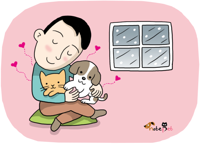 노트펫