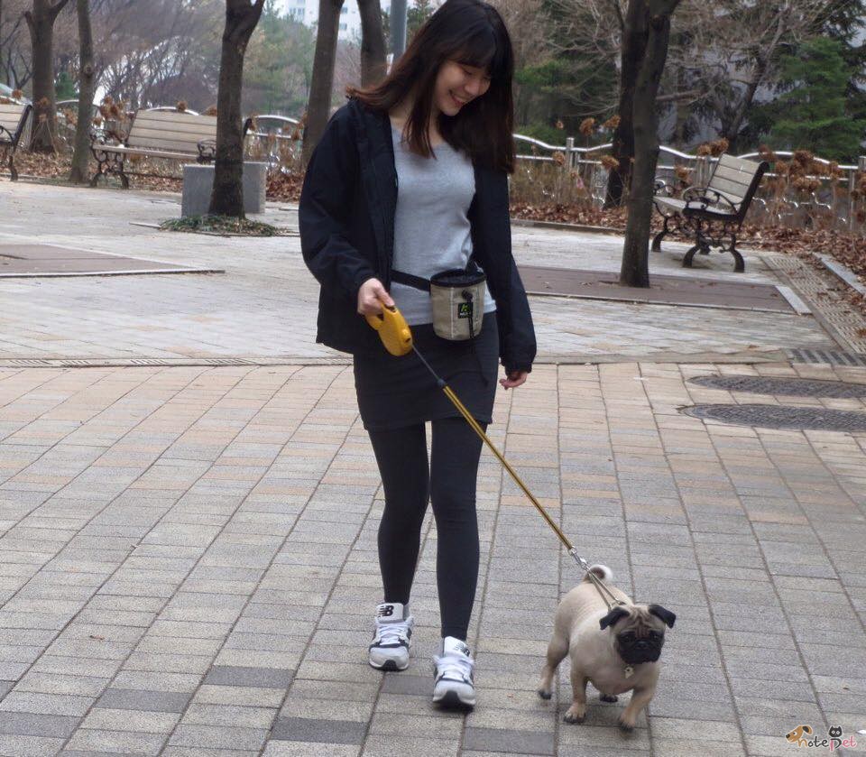 노트펫