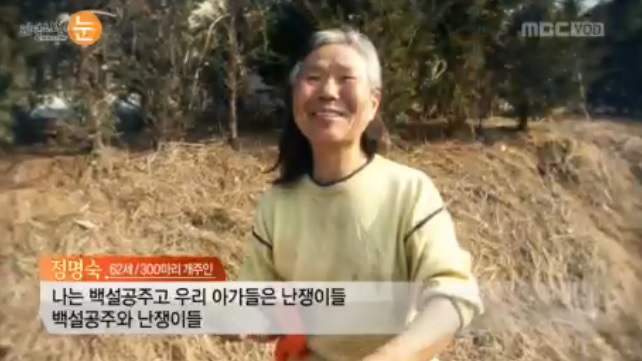 노트펫
