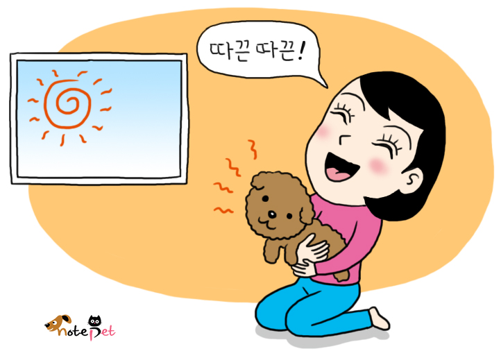 노트펫