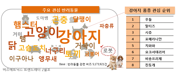 노트펫