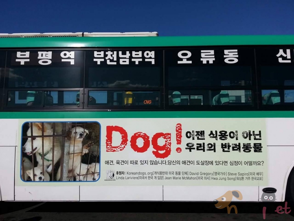 노트펫