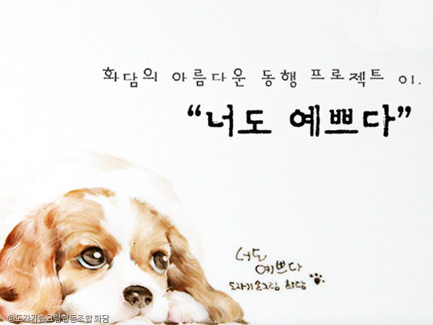 노트펫