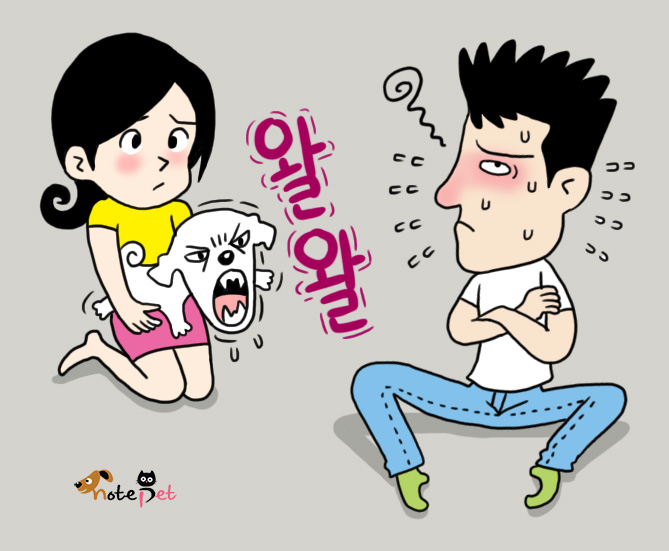 노트펫