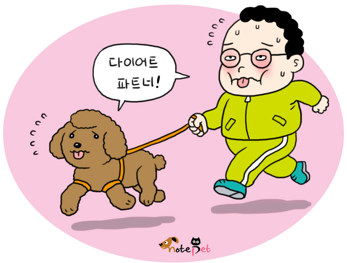 노트펫