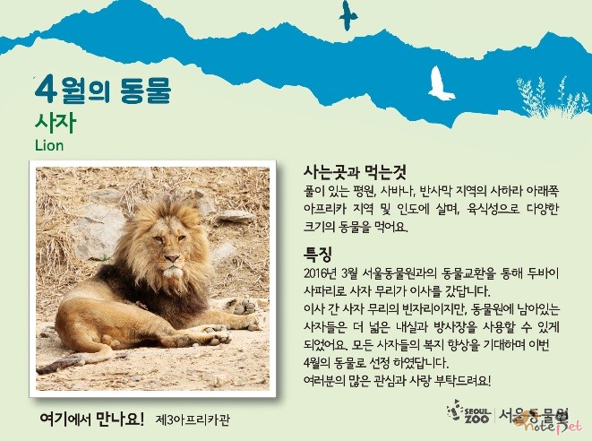 노트펫