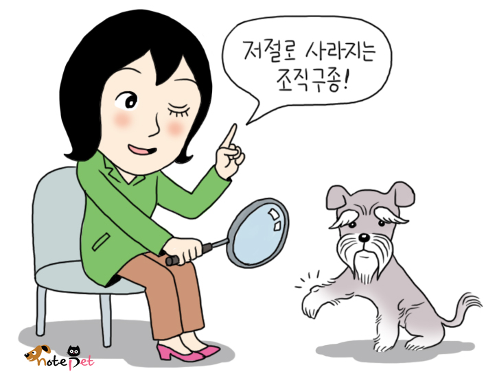 노트펫