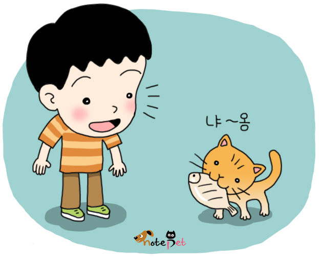 노트펫