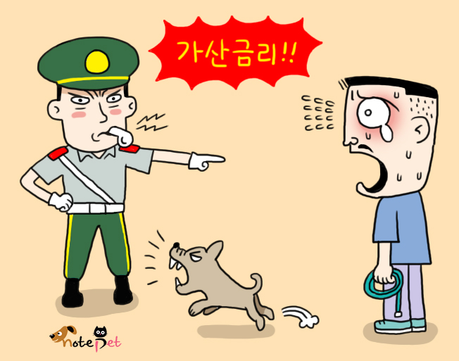 노트펫