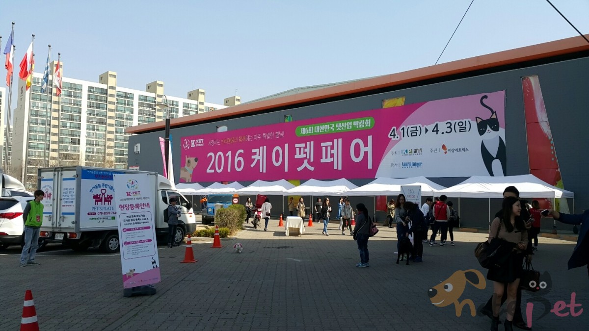 노트펫