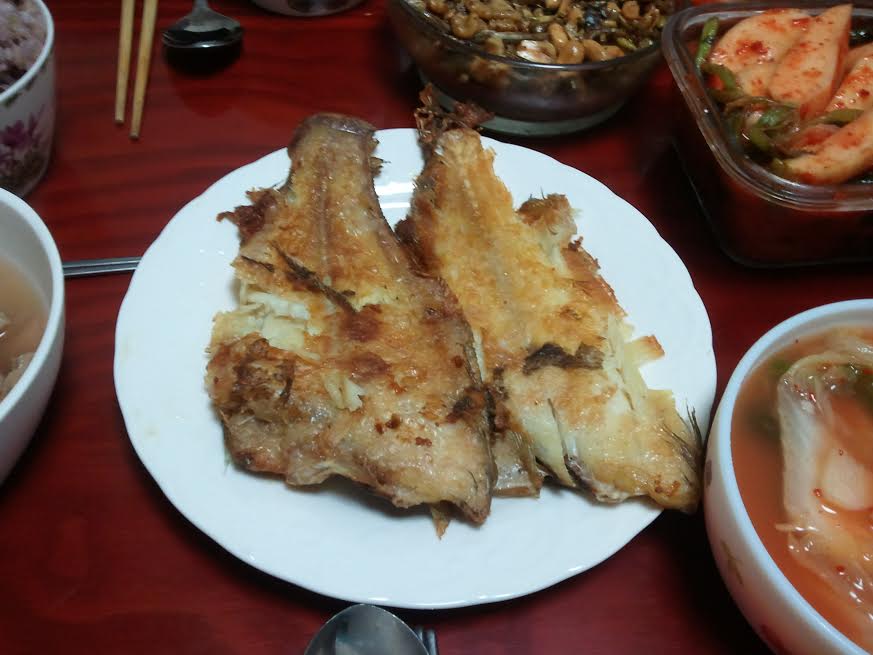 노트펫
