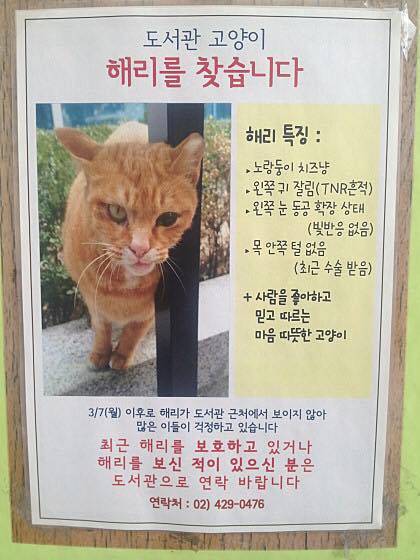 노트펫