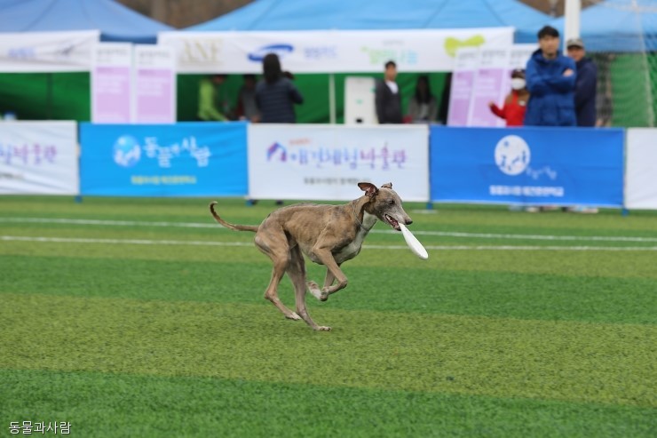 노트펫