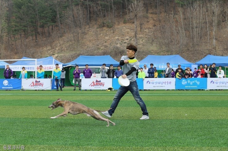 노트펫
