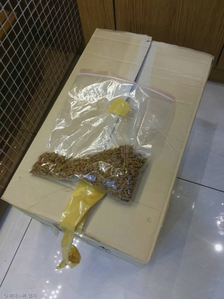 노트펫