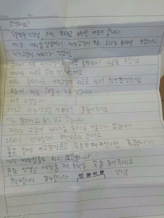 노트펫