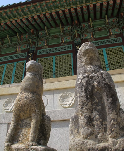 노트펫