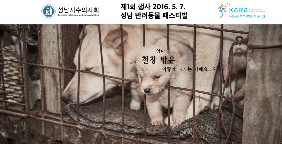 노트펫