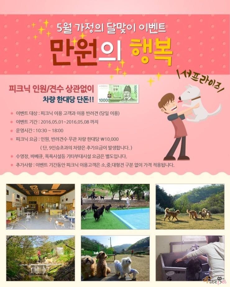 노트펫