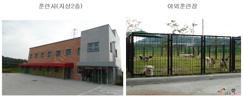 노트펫