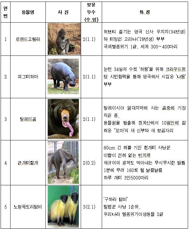 노트펫