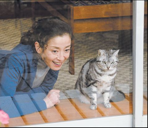 노트펫