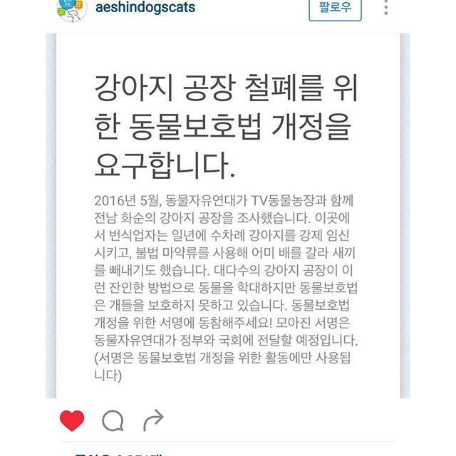 노트펫