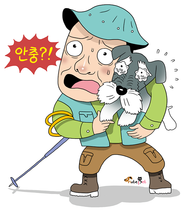 노트펫