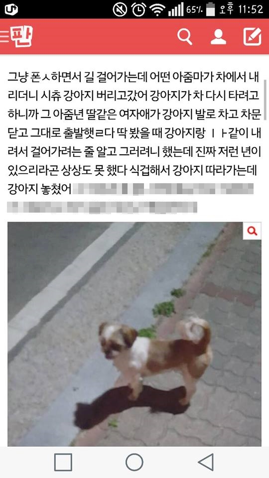 노트펫