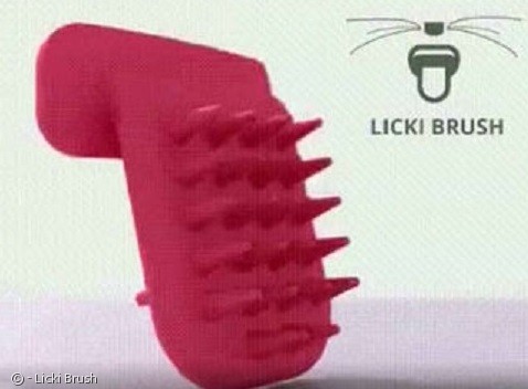 노트펫