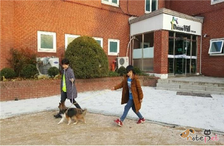 노트펫