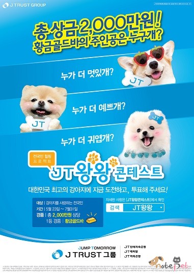 노트펫