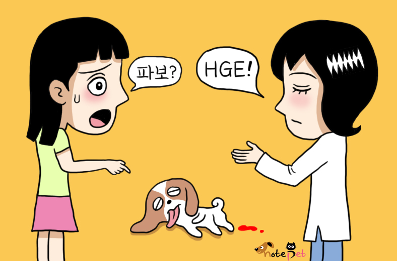 노트펫