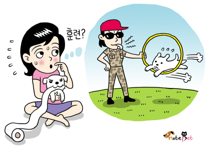 노트펫
