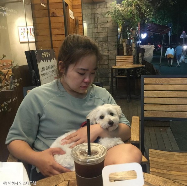 노트펫