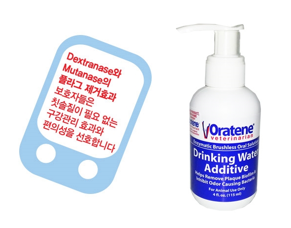 노트펫