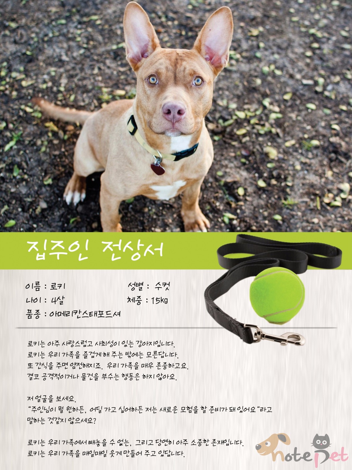 노트펫