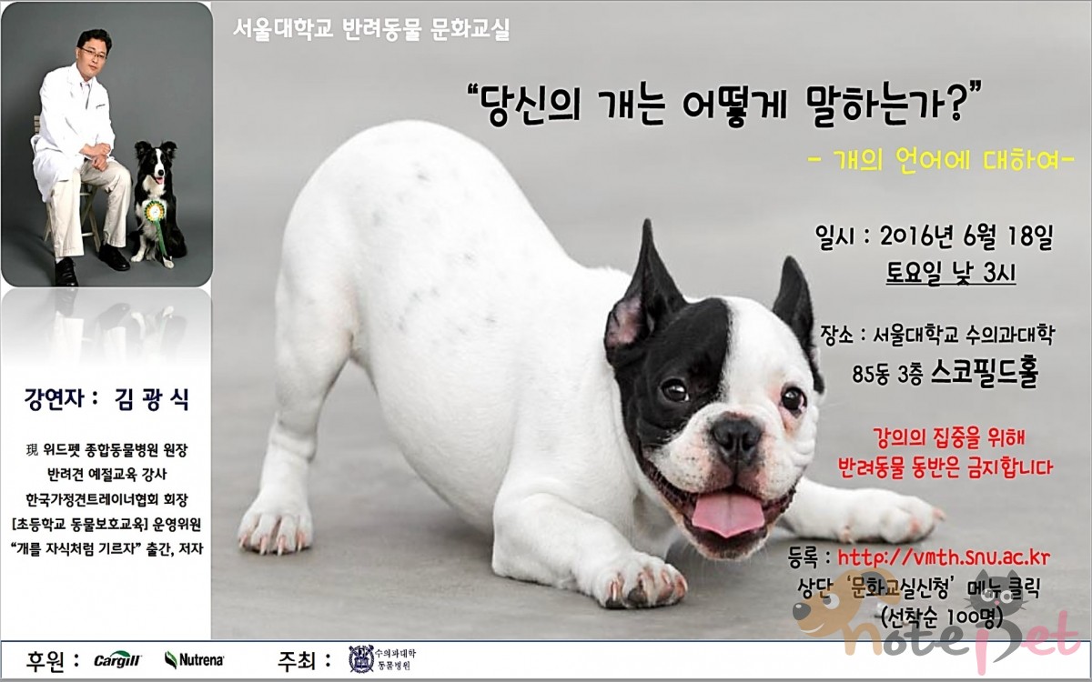 노트펫