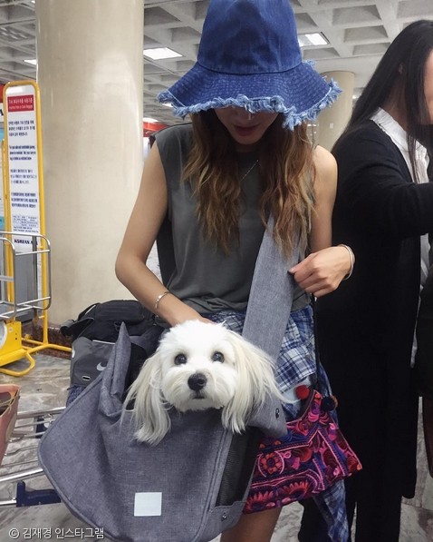 노트펫