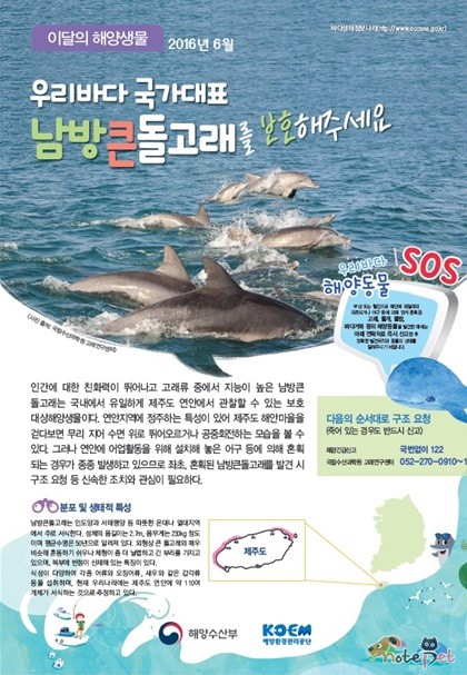 노트펫