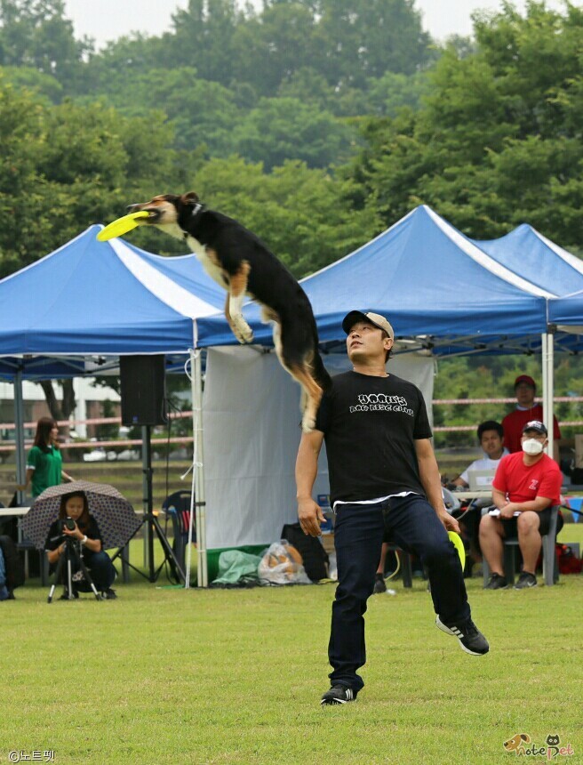 노트펫