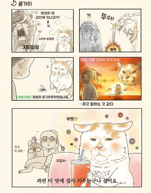 노트펫