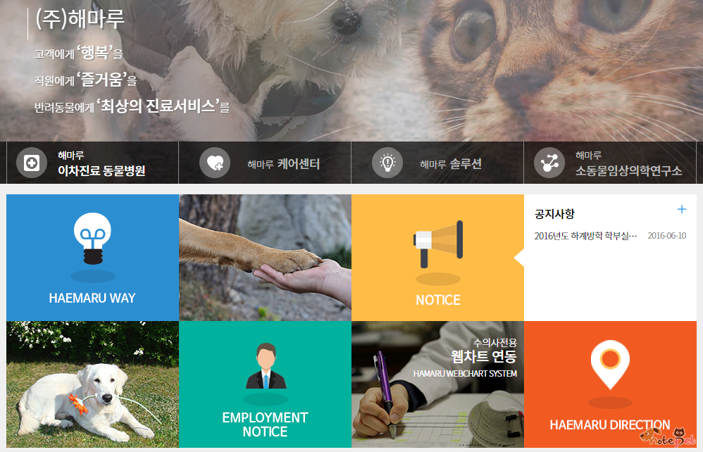 노트펫