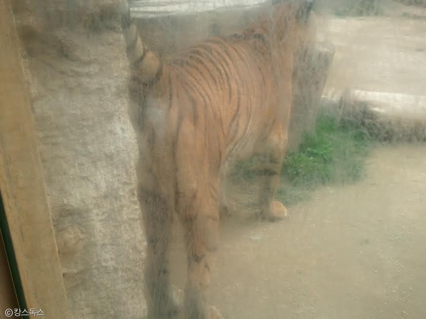 노트펫